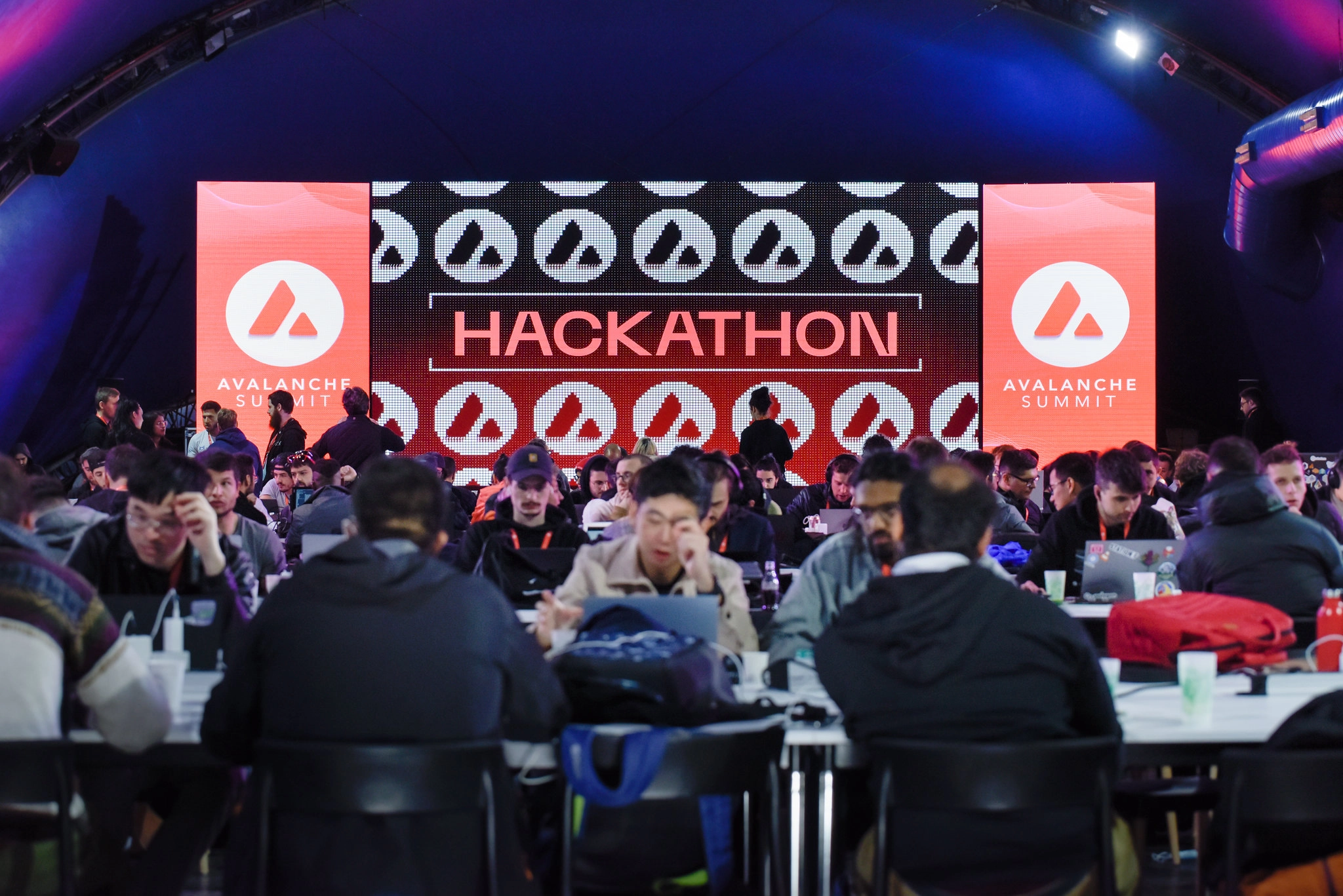 Gallery image number 6