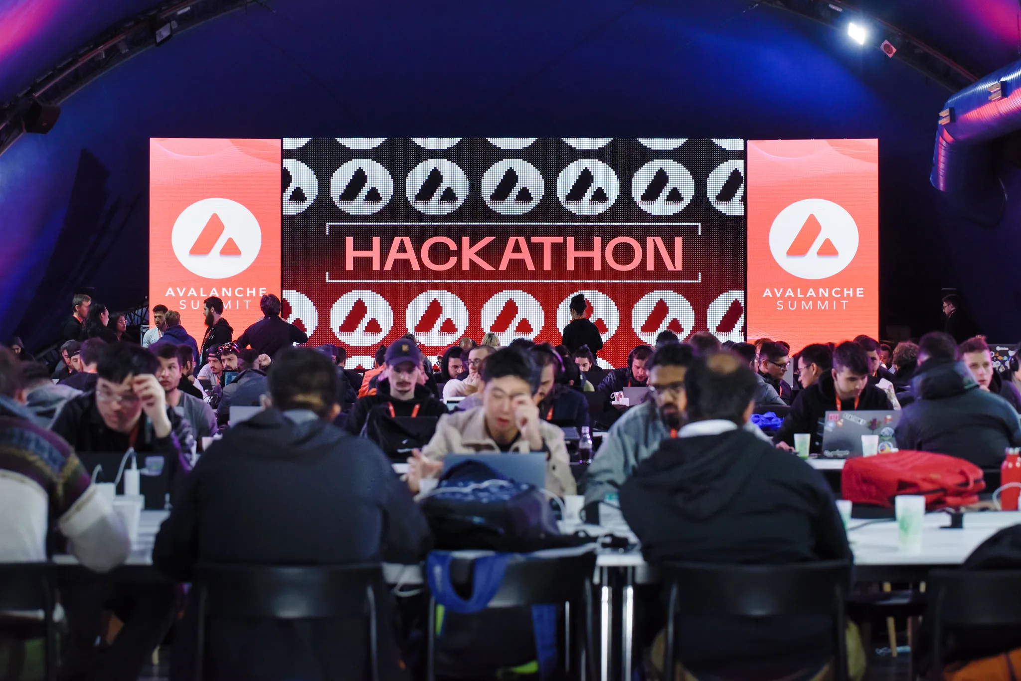 Gallery image number 6