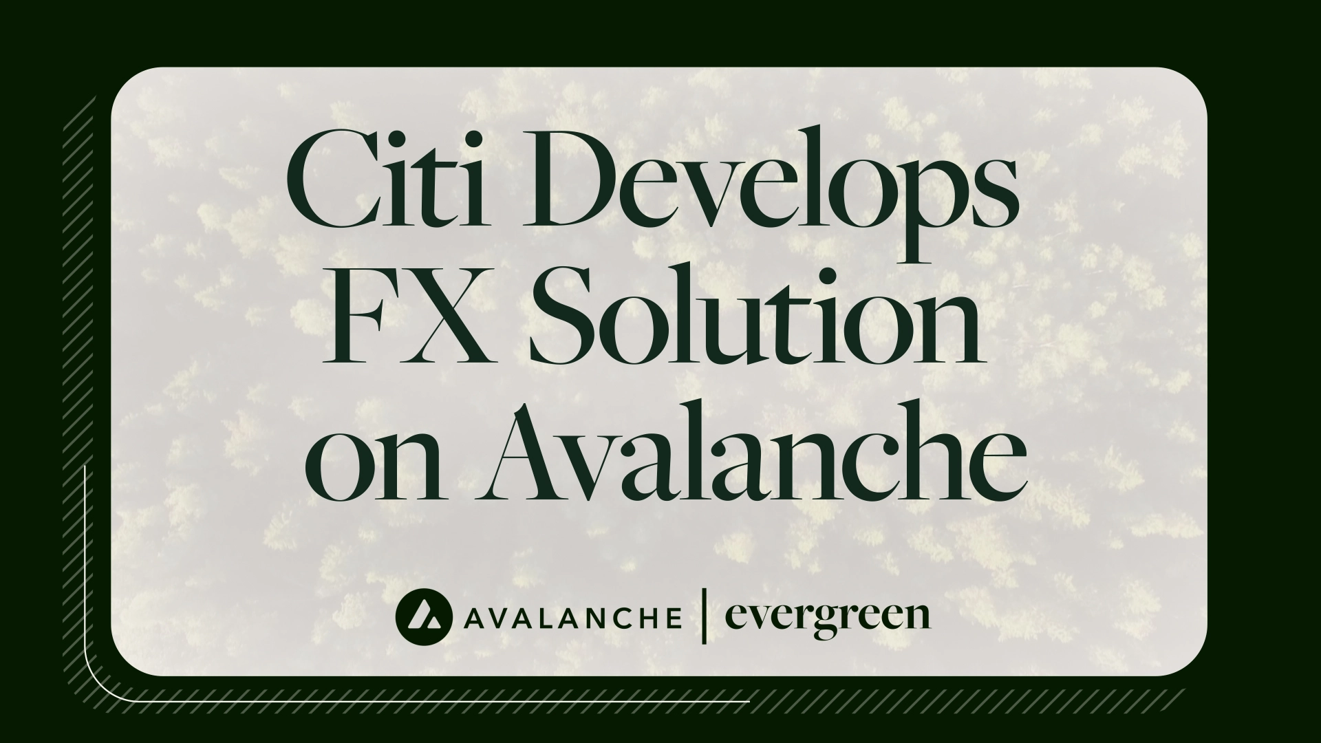 Avalanche Supports Citi FX Solution Under Project Guardian