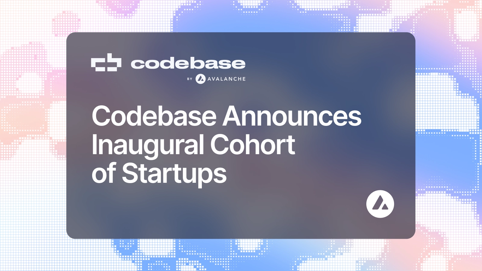 Startup Incubator Codebase Names First Cohort