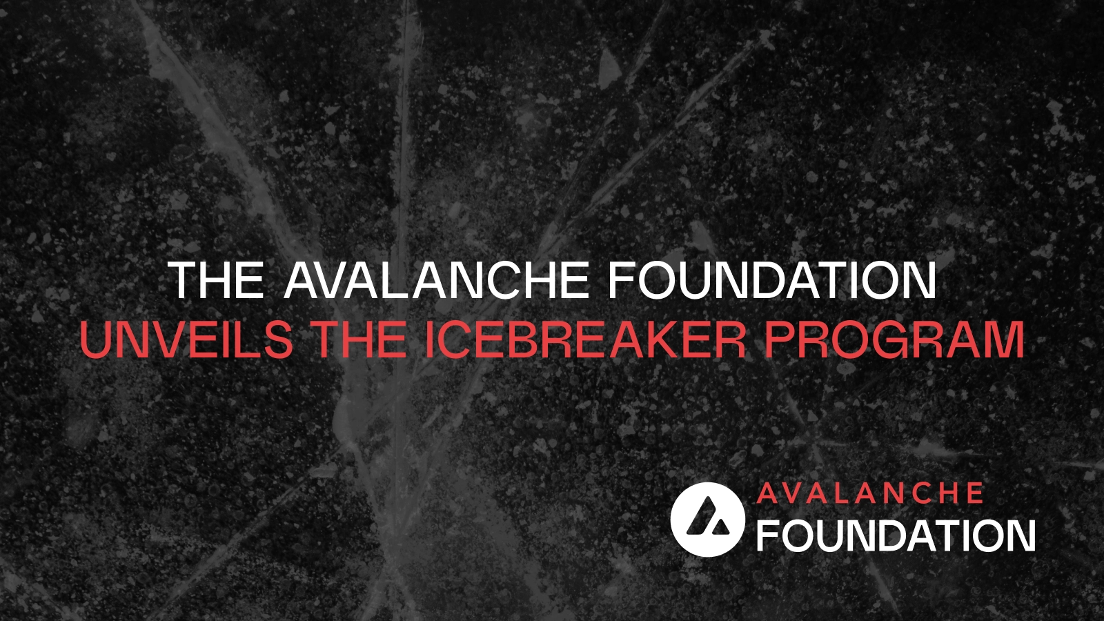 The Avalanche Foundation Unveils the Icebreaker Program