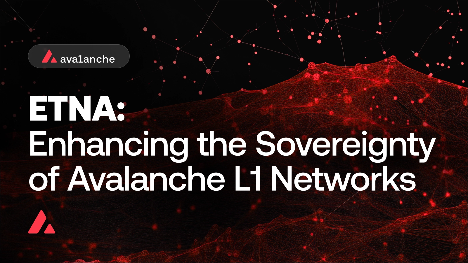 Etna: Enhancing the Sovereignty of Avalanche L1 Networks