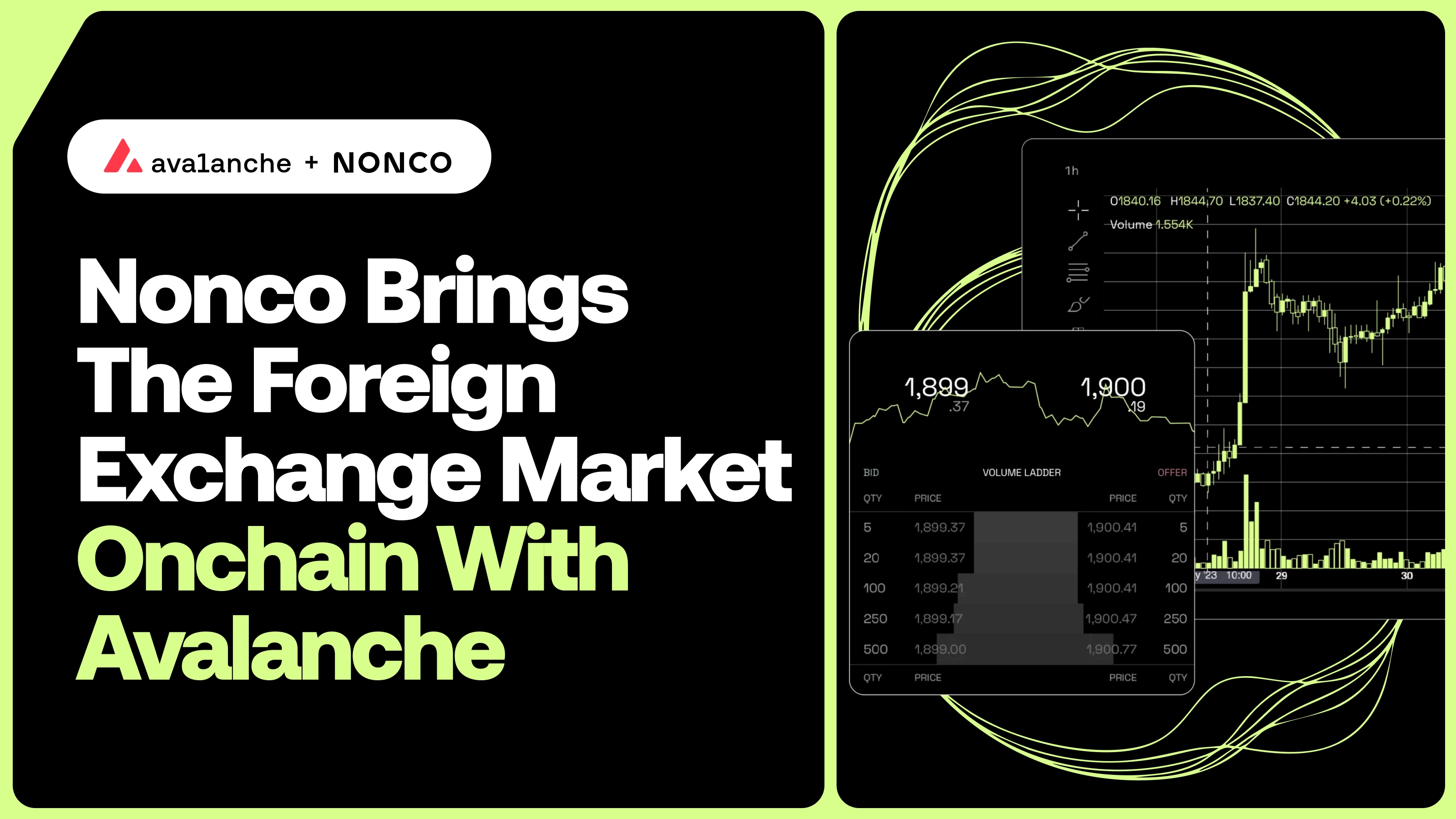 67ec9b4c250cac014c41cf3f NONCO announcement twitter (3)