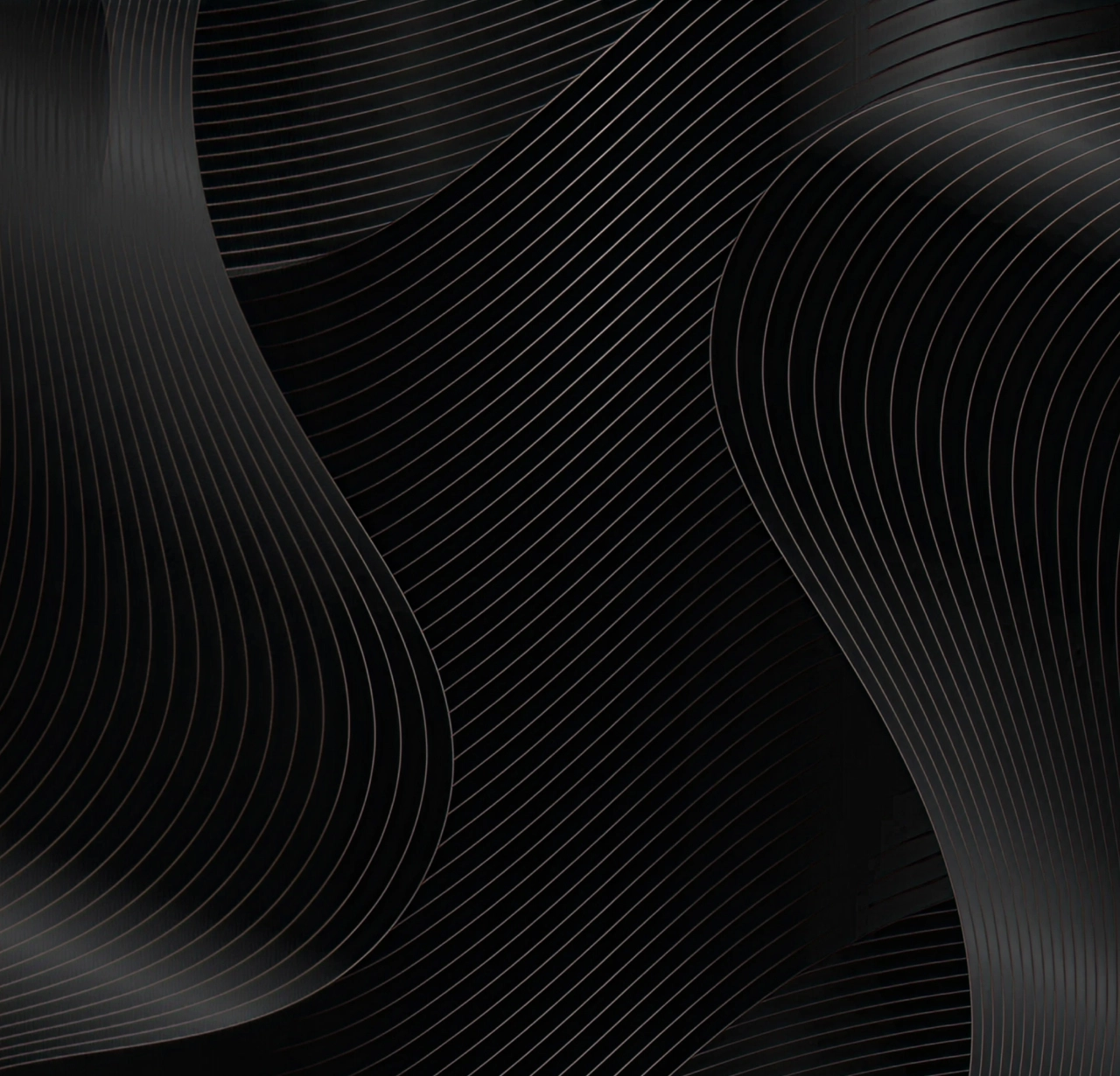 The Binary Network