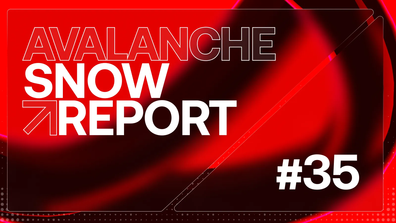 Snow Report Issue #35