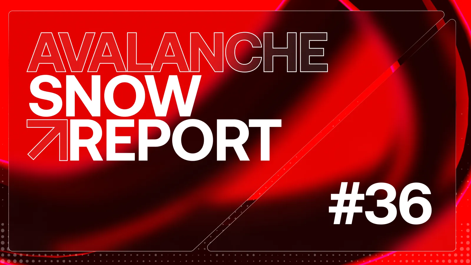 Snow Report #36