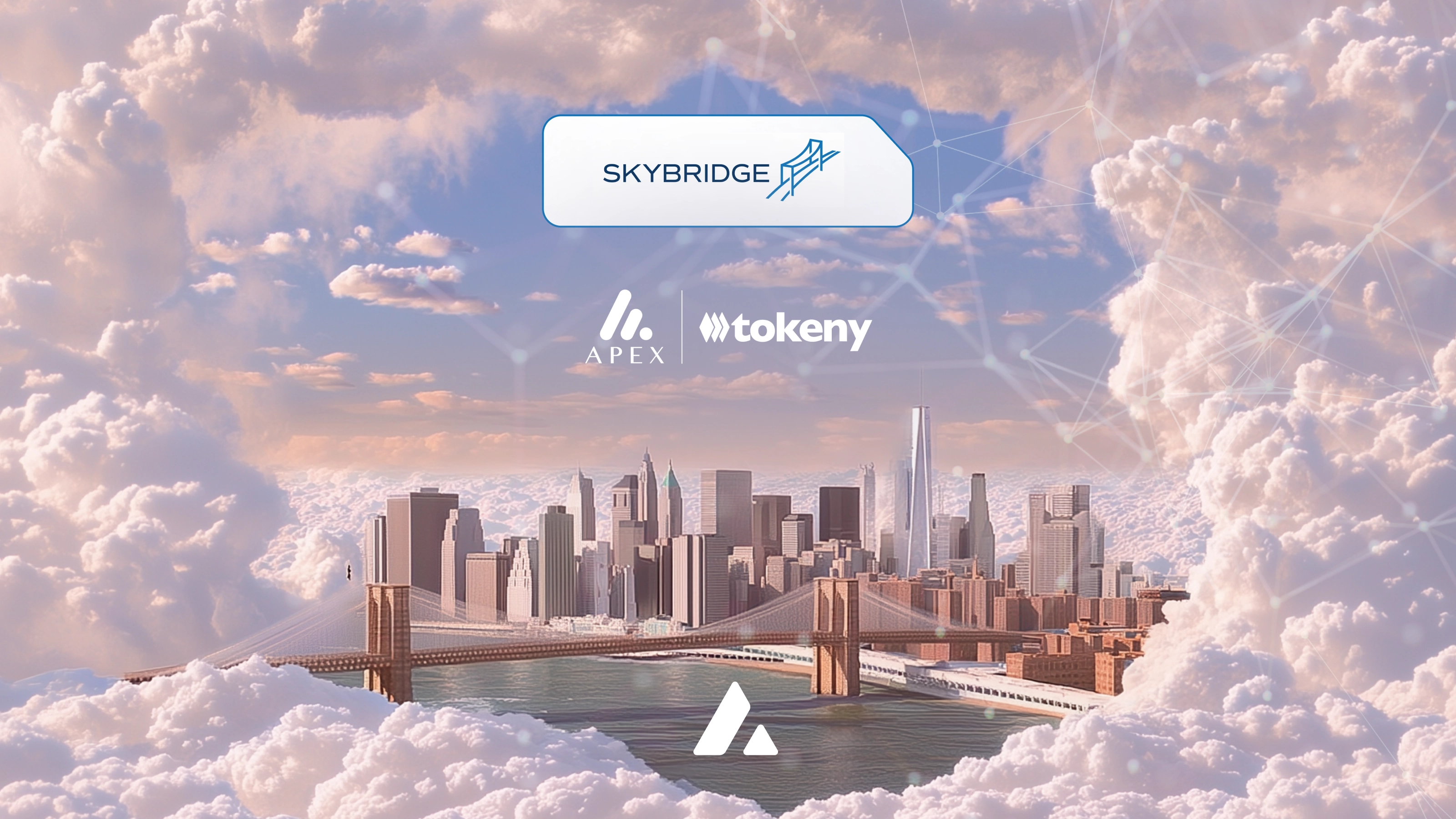 SkyBridge Tokeny